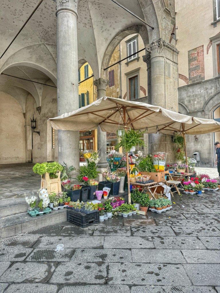 lucca