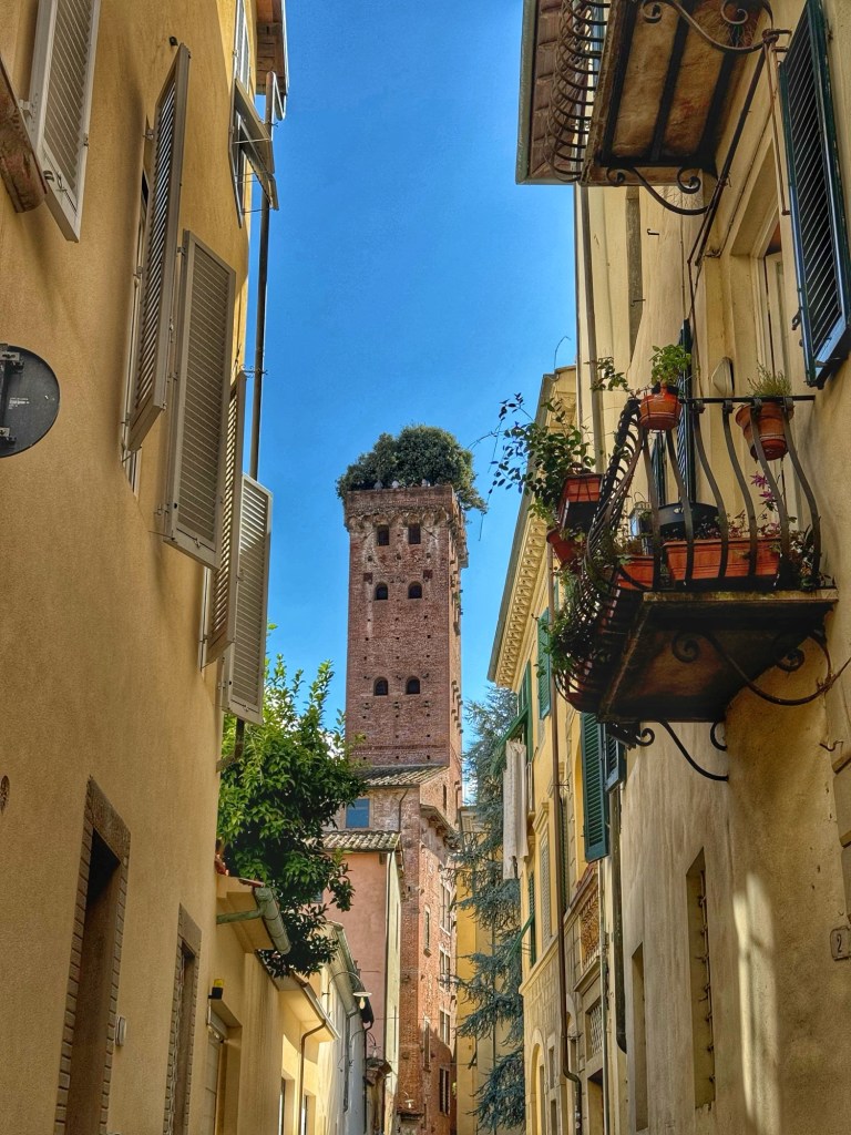 torre guinigi