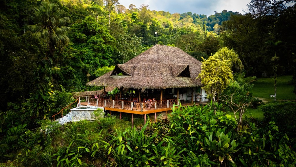 Into the Jungle: Rafiki Safari&nbsp;Lodge